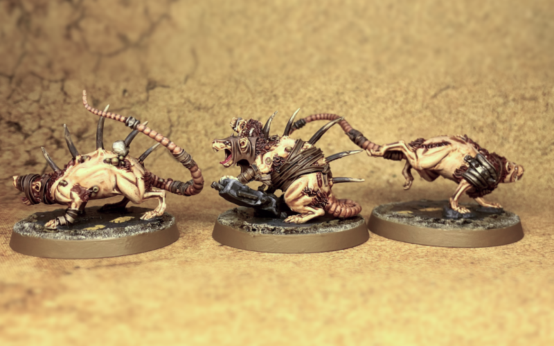 Three hive rats with tan bandaging